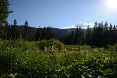 DSC_3537 (Large).JPG